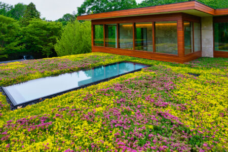 Green roof with embedded skylights surrounded by lush flowering plants.