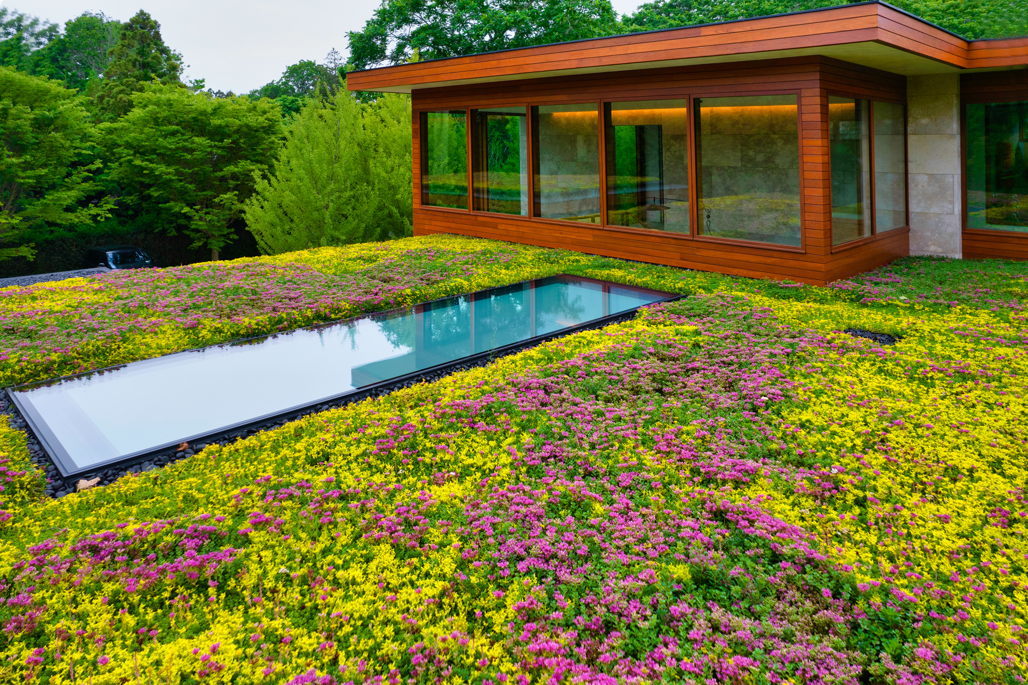 Green roof with embedded skylights surrounded by lush flowering plants.