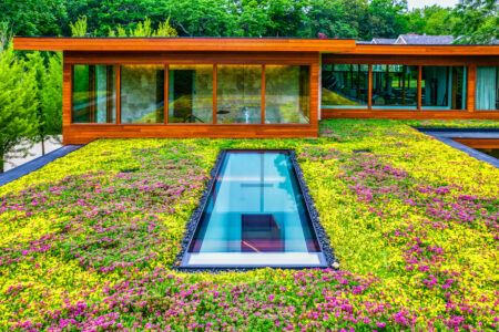 Rectangular glass skylight surrounded by a vibrant green roof filled with yellow and purple plants.